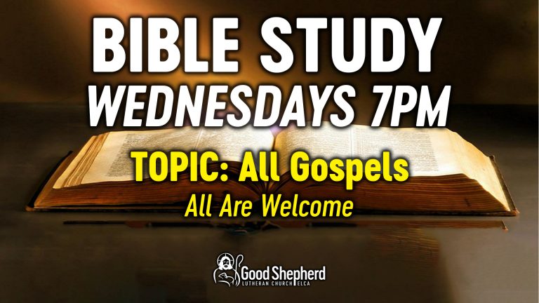 BibleStudy-Web
